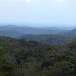 Seima Protection Forest Declared